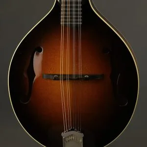 2013 Pava Mandolins A5 Player Mandolin Used