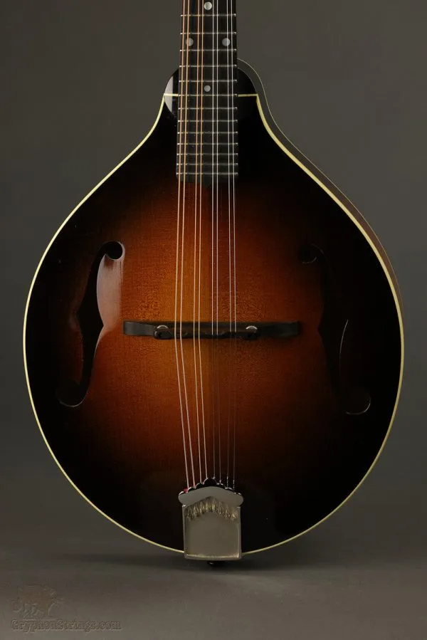 2013 Pava Mandolins A5 Player Mandolin Used