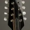 2013 Pava Mandolins A5 Player Mandolin Used