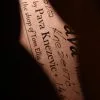 2013 Pava Mandolins A5 Player Mandolin Used