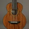 2013 Rick Tuner Compass Rose Nano Jumbo Concert Ukulele-Used