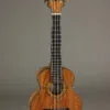 2013 Rick Tuner Compass Rose Nano Jumbo Concert Ukulele-Used
