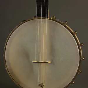 2013 Waldman Chromatic Maple 5-String Open Back Banjo