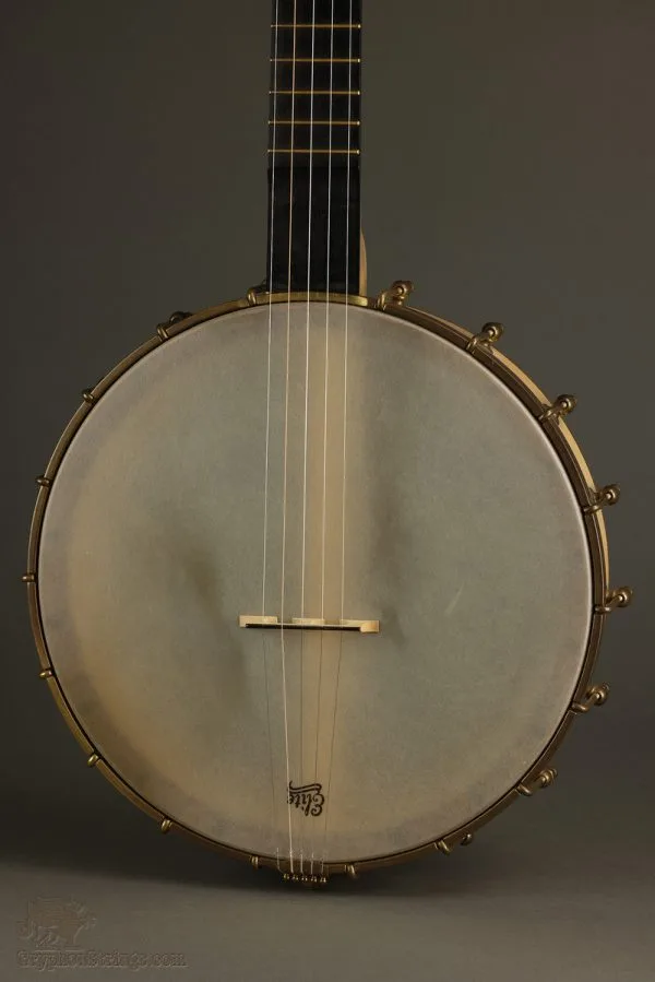 2013 Waldman Chromatic Maple 5-String Open Back Banjo