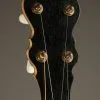 2013 Waldman Chromatic Maple 5-String Open Back Banjo