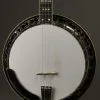 2014 Stelling Swallowtail 5-String Banjo Used