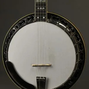 2014 Stelling Swallowtail 5-String Banjo Used