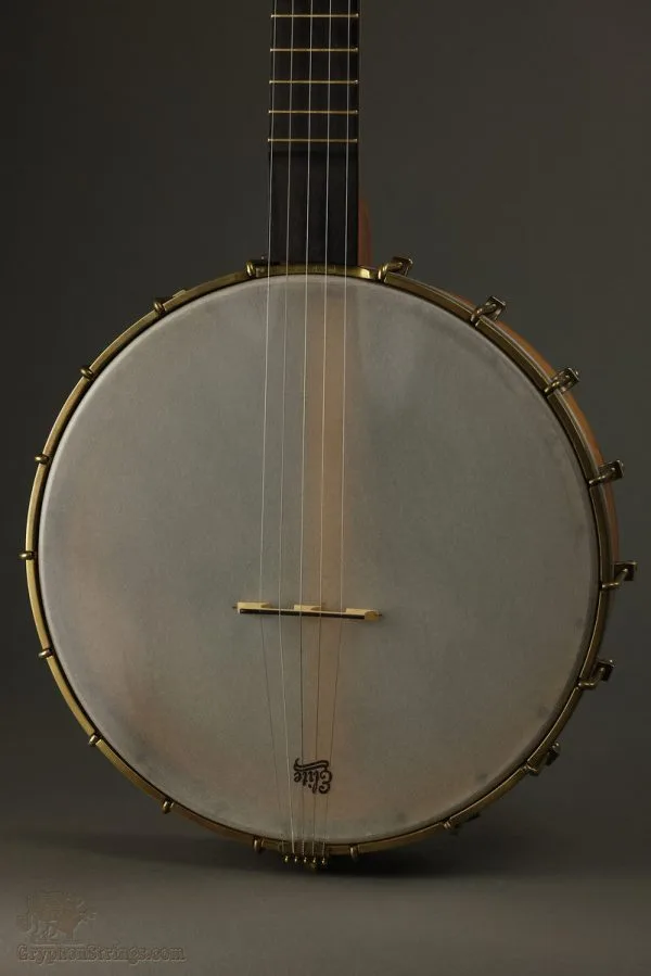 2015 Waldman Cherry Chromatic 12″ 5-String Banjo Used