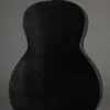 2015 Waterloo WL-14XTR Jet Black Acoustic Guitar – Used