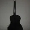2015 Waterloo WL-14XTR Jet Black Acoustic Guitar – Used