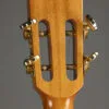 2016 Pono RTSH (S) PC Tenor Ukulele – Used