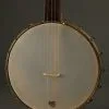 2016 Waldman Chromatic 5-String Banjo Used