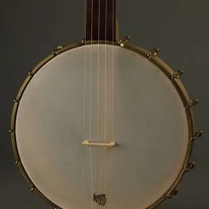 2016 Waldman Chromatic 5-String Banjo Used