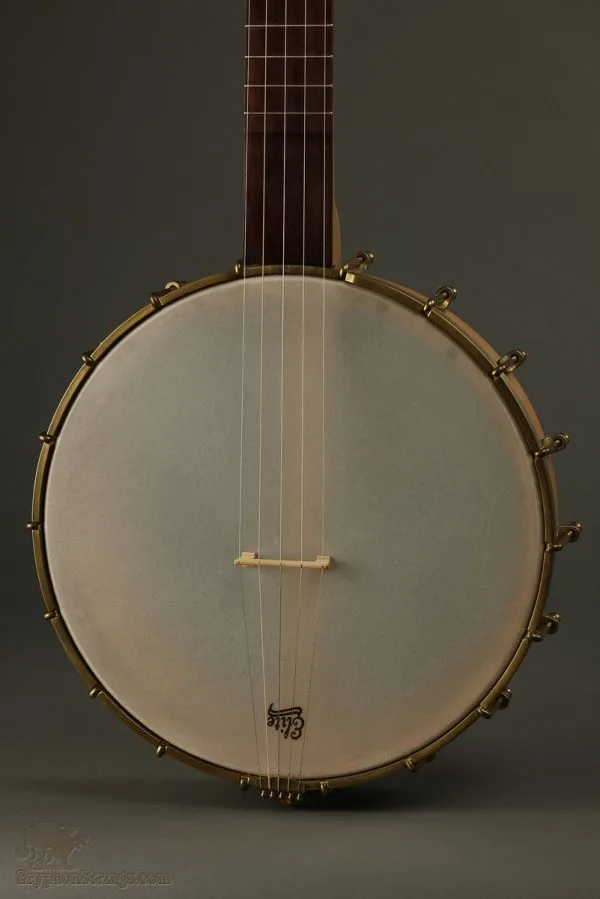 2016 Waldman Chromatic 5-String Banjo Used