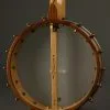 2016 Waldman Chromatic 5-String Banjo Used