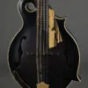 2017 Amesqua F5 Style Mandolin-Used