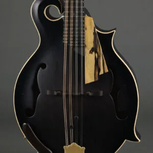 2017 Amesqua F5 Style Mandolin-Used