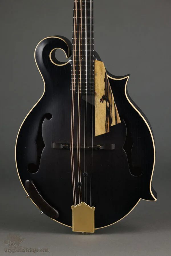 2017 Amesqua F5 Style Mandolin-Used
