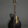 2017 Amesqua F5 Style Mandolin-Used