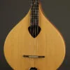 2017 Gold Tone BZ-500 Irish Bouzouki – Used