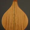 2017 Gold Tone BZ-500 Irish Bouzouki – Used