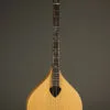 2017 Gold Tone BZ-500 Irish Bouzouki – Used