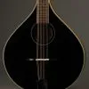 2017 Trinity College TM-325B Octave Mandolin Used