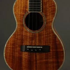 2018 Graziano Turtle and Dolphin Tenor Ukulele Used