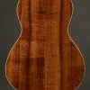 2018 Graziano Turtle and Dolphin Tenor Ukulele Used