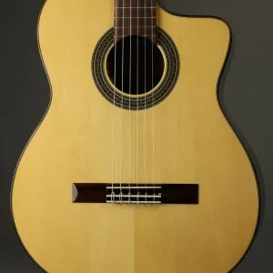 2019 New World E650S Fingerstyle Acoustic Electric Nylon String Guitar Used
