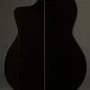 2019 New World E650S Fingerstyle Acoustic Electric Nylon String Guitar Used