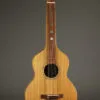2020 Larry Pogreba Hollow Neck Hawaiian Guitar – Used