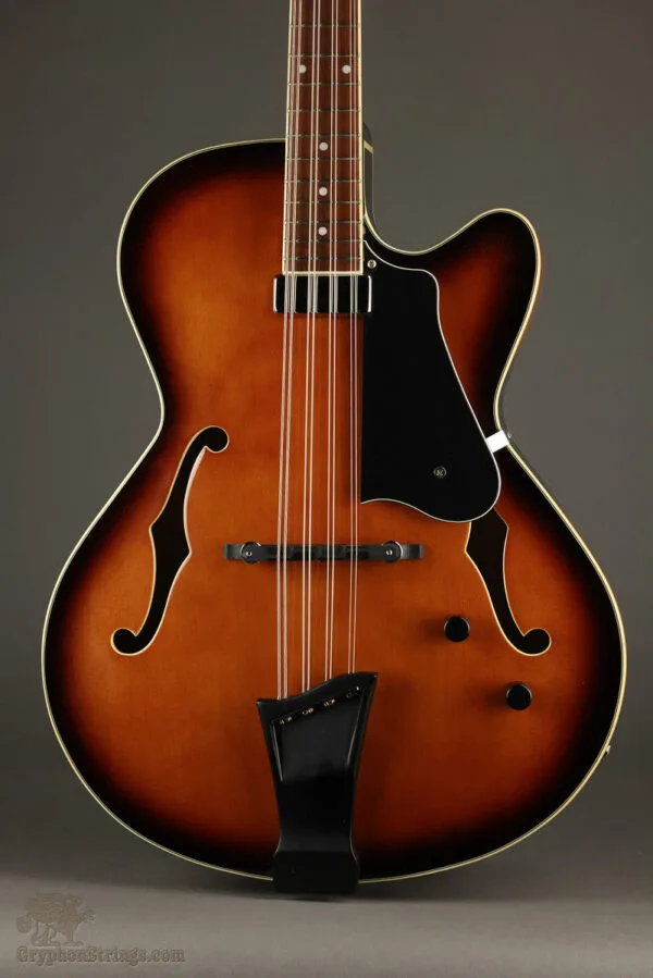 2021 Gold Tone Mandocello – Used