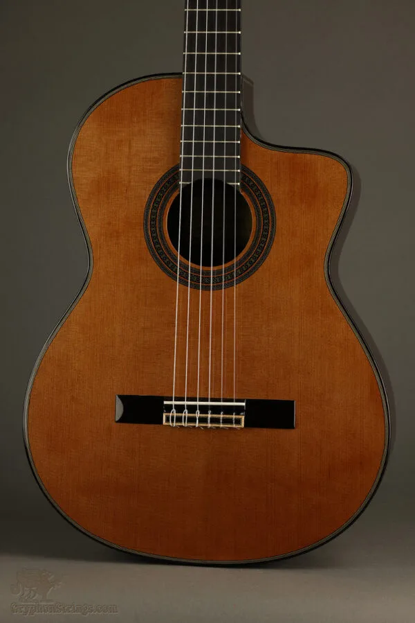 2021 New World Player P640C-FS Fingerstyle Classical Guitar – Used