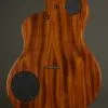 2021 Rick Turner Renaissance RS6-SP Special Acoustic Electric Guitar Used