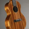 2022 D. J. Morgan Tenor Ukulele – Used