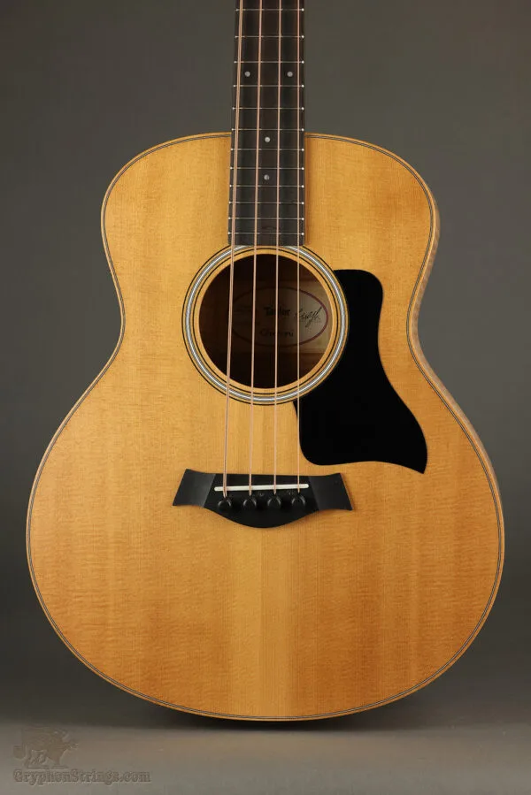 2022 GS Mini-e Maple Bass – Used
