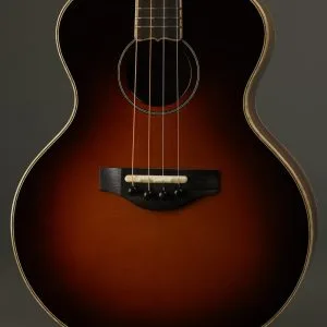 2022 KR Strings Mandolindo Deluxe Mandolin Used