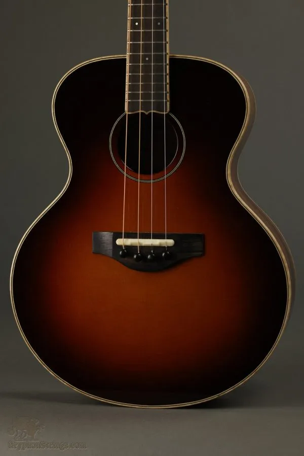 2022 KR Strings Mandolindo Deluxe Mandolin Used
