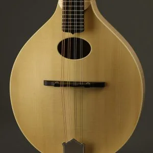 2022 Pava A-4 Satin Mandolin Used