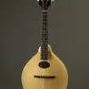 2022 Pava A-4 Satin Mandolin Used