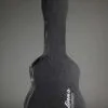 2022 Salinas Bajo Quinto – Used