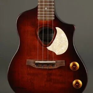 2022 Seagull Nylon Semi-Gloss Soprano Ukulele- Used
