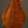2023 Northfield S-Series NFS-F2 Mandolin – Used