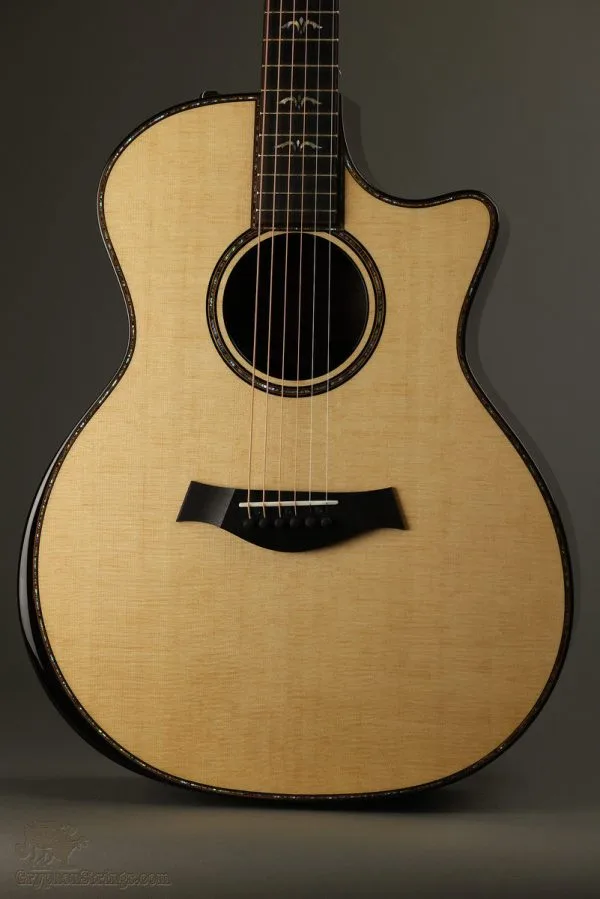 2023 Taylor 914ce Acoustic Electric Guitar – Used