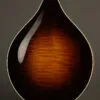 2024 Collings MT2 O Mandolin – Used