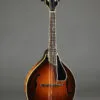 2024 Ellis A5 Special Mandolin-Used