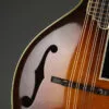 2024 Ellis A5 Special Mandolin-Used