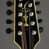 2024 Ellis A5 Special Mandolin-Used