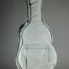 2024 Hoffee OM/000 Carbon Fiber Case-Used
